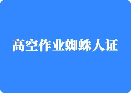 大鸡儿骚逼流水办公室视频欧美高空作业蜘蛛人证